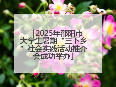 2025年邵阳市大学生暑期“三下乡”社会实践活动推介会成功举办