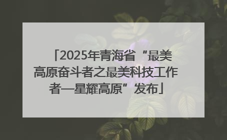 2025年青海省“最美高原奋斗者之最美科技工作者—星耀高原”发布