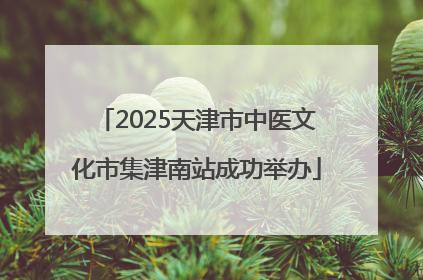 2025天津市中医文化市集津南站成功举办