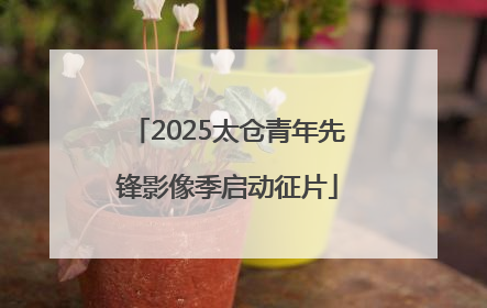 2025太仓青年先锋影像季启动征片