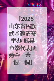 2025山东省民族武术邀请赛举办 冠县查拳代表团勇夺三金二银一铜
