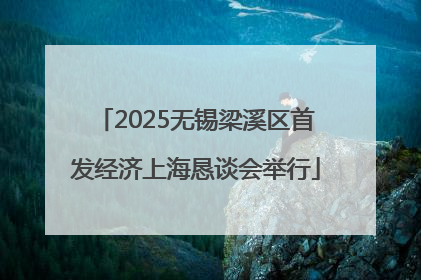 2025无锡梁溪区首发经济上海恳谈会举行