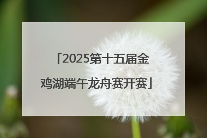 2025第十五届金鸡湖端午龙舟赛开赛