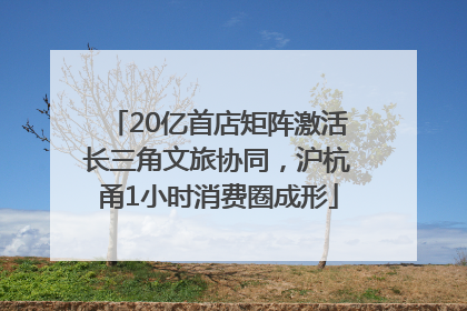 20亿首店矩阵激活长三角文旅协同，沪杭甬1小时消费圈成形
