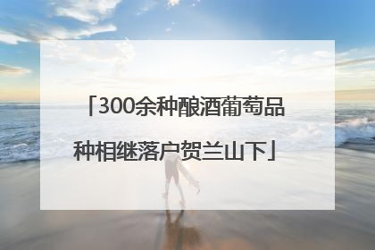 300余种酿酒葡萄品种相继落户贺兰山下