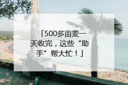 500多亩麦一天收完，这些“助手”帮大忙！