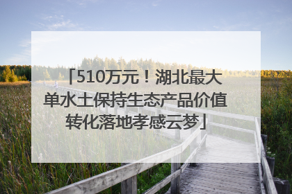 510万元！湖北最大单水土保持生态产品价值转化落地孝感云梦