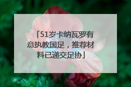 51岁卡纳瓦罗有意执教国足，推荐材料已递交足协