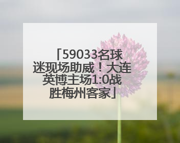59033名球迷现场助威！大连英博主场1:0战胜梅州客家