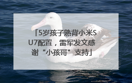 5岁孩子熟背小米SU7配置，雷军发文感谢“小孩哥”支持