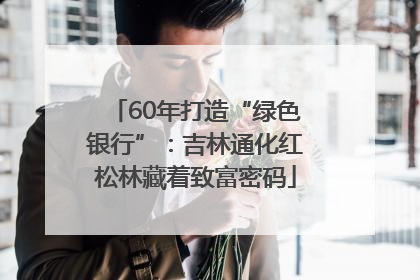 60年打造“绿色银行”：吉林通化红松林藏着致富密码