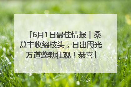 6月1日最佳情报｜桑葚丰收缀枝头，日出霞光万道蓬勃壮观！恭喜