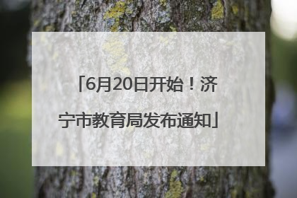 6月20日开始！济宁市教育局发布通知