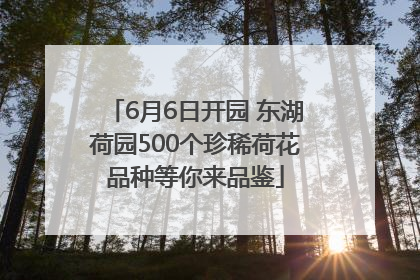6月6日开园 东湖荷园500个珍稀荷花品种等你来品鉴