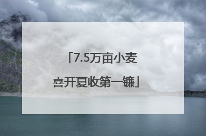 7.5万亩小麦喜开夏收第一镰