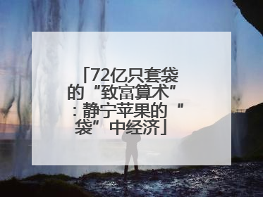 72亿只套袋的“致富算术”：静宁苹果的“袋”中经济