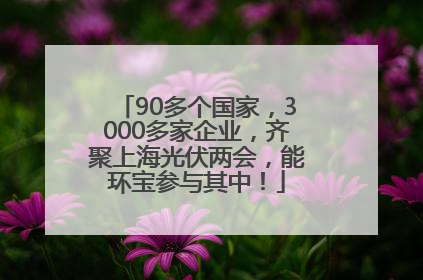 90多个国家，3000多家企业，齐聚上海光伏两会，能环宝参与其中！
