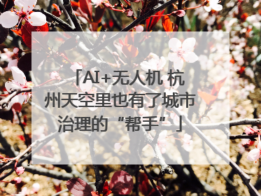 AI+无人机 杭州天空里也有了城市治理的“帮手”