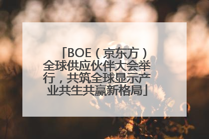 BOE（京东方）全球供应伙伴大会举行，共筑全球显示产业共生共赢新格局