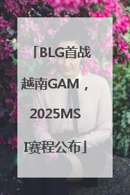BLG首战越南GAM，2025MSI赛程公布