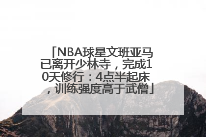 NBA球星文班亚马已离开少林寺，完成10天修行：4点半起床，训练强度高于武僧