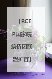 RCEP国家皖籍侨团联盟扩容